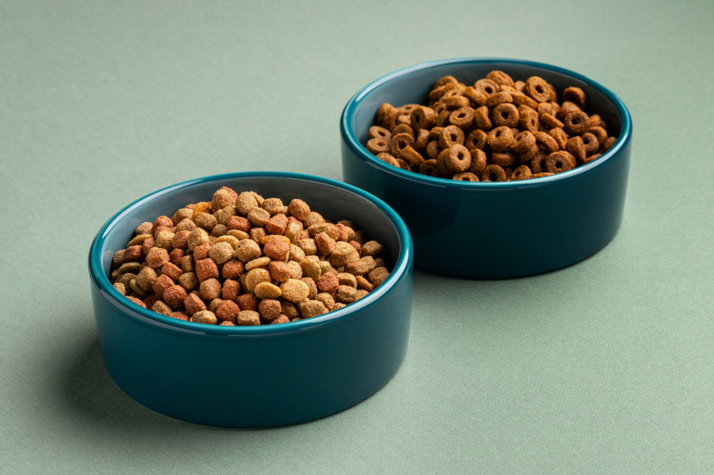 Feeding Bowl