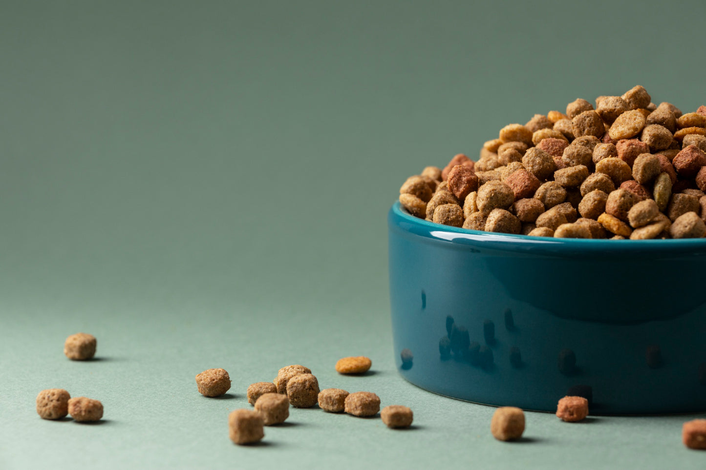 Feeding Bowl