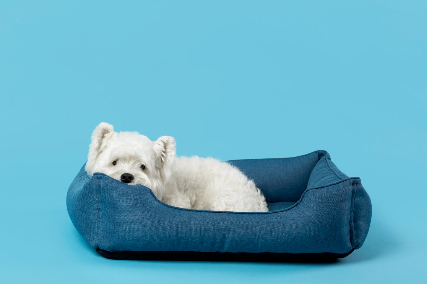 Dog Beds