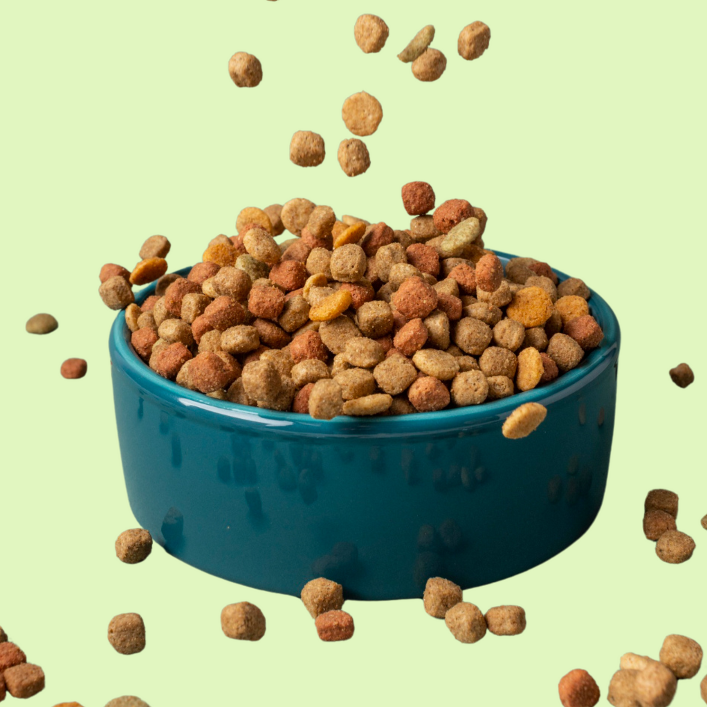 Feeding Bowl